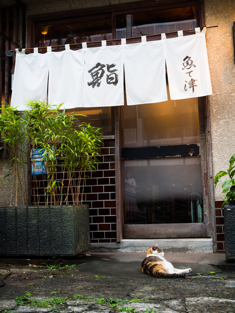 招き猫？