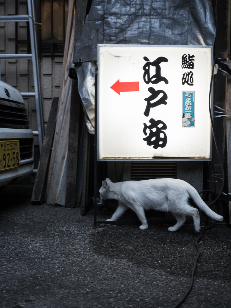 ちょっとつまみに……。