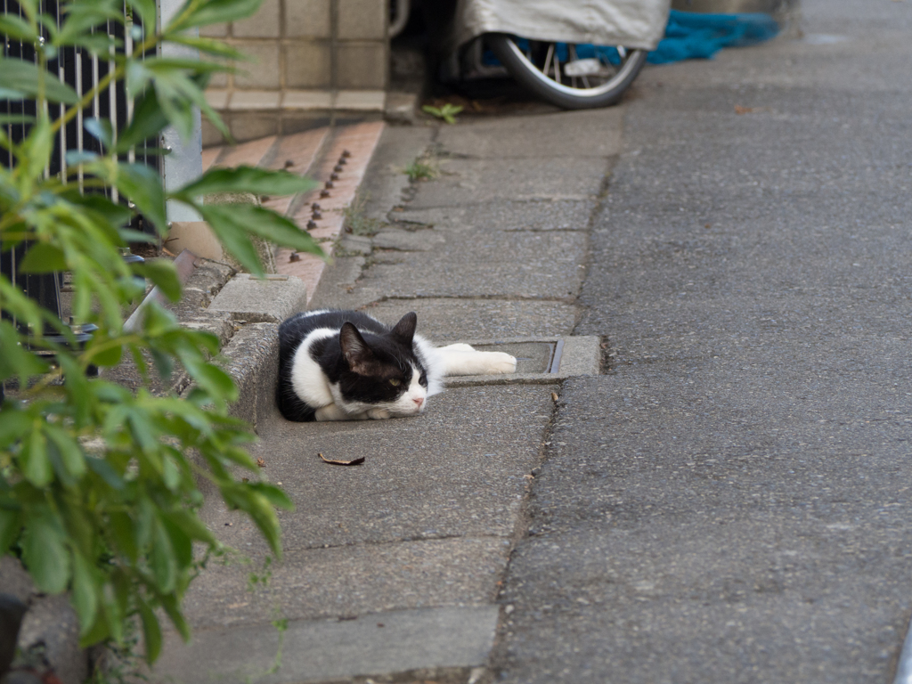 お休み中