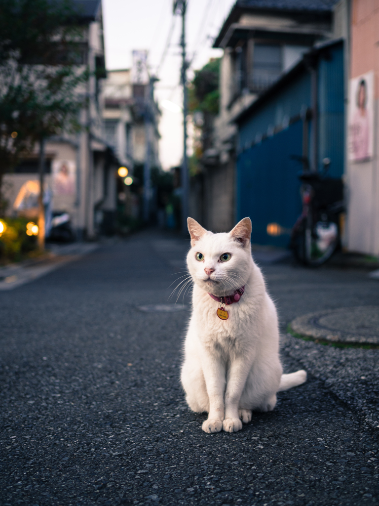 なにが見える