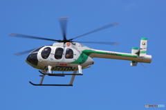  MD600