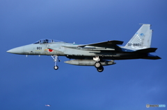 F15