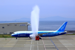 787