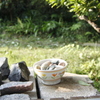 不思議な食卓