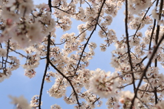空と一緒に…