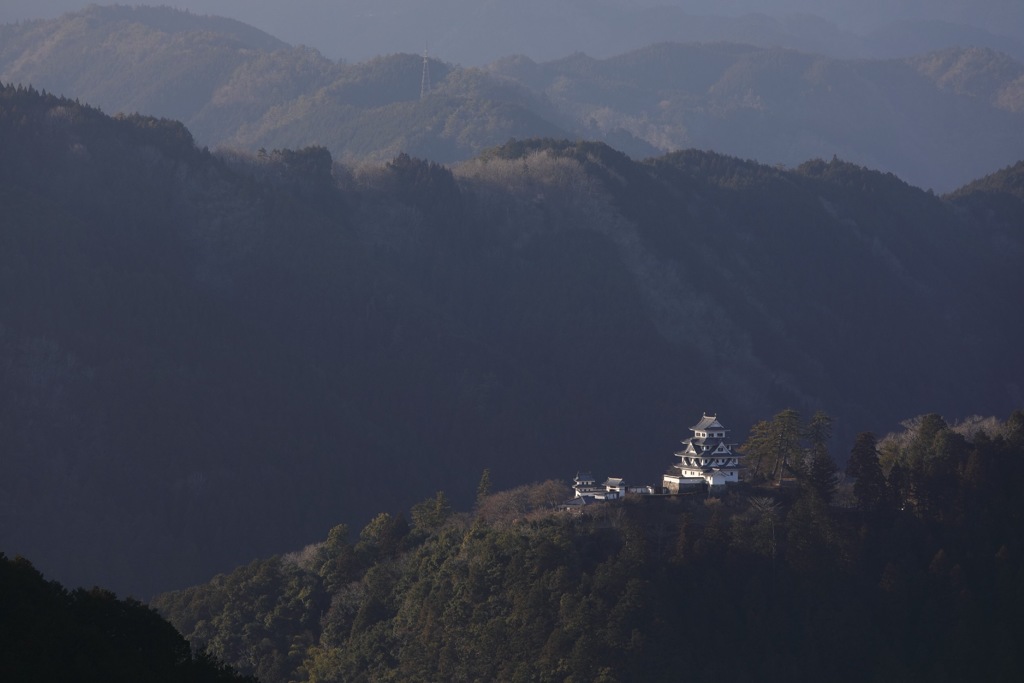 郡上八幡城