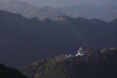 郡上八幡城