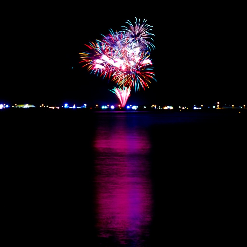 海に浮かぶ花束