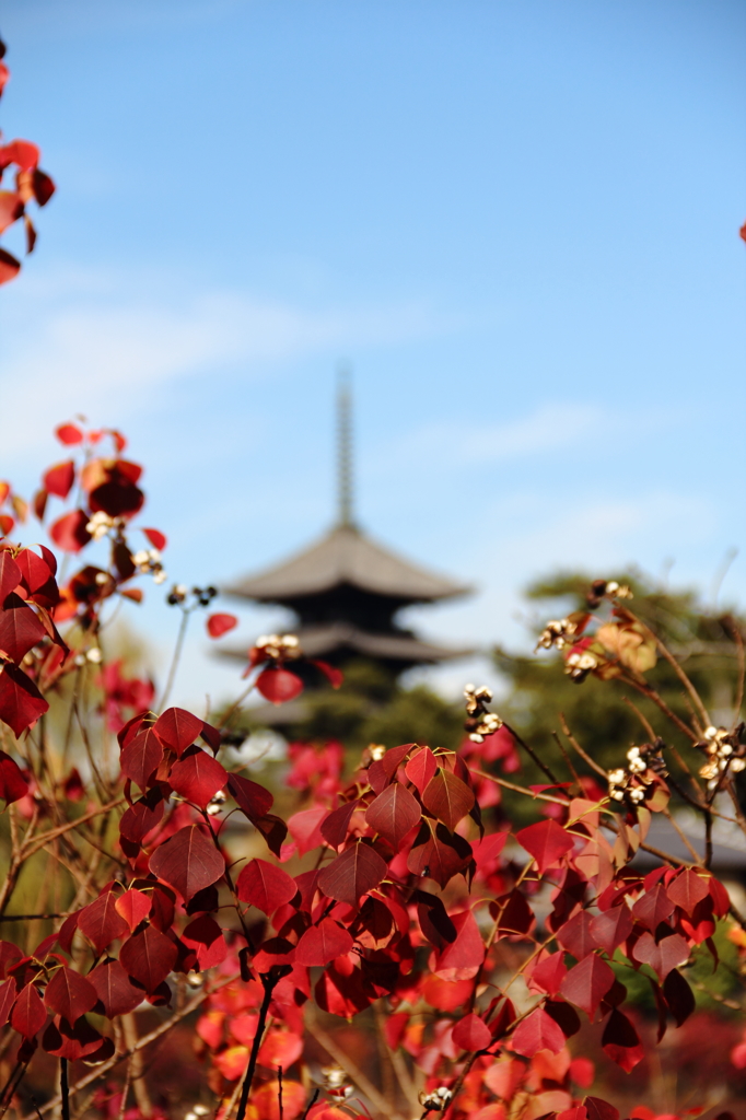 興福寺を遠くにみて