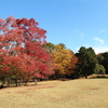 奈良公園秋の３