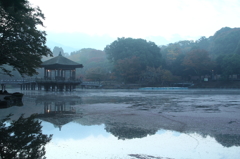 浮見堂４