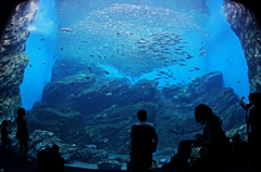 海底