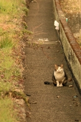 用水路