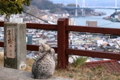ペインターちゃん