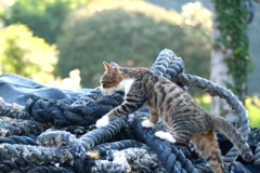 クライマーちゃん