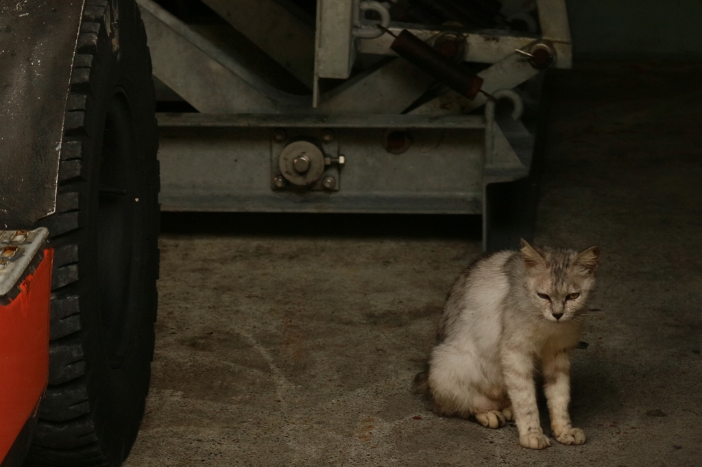 しょぼんちゃん