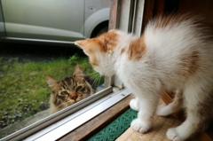 わお