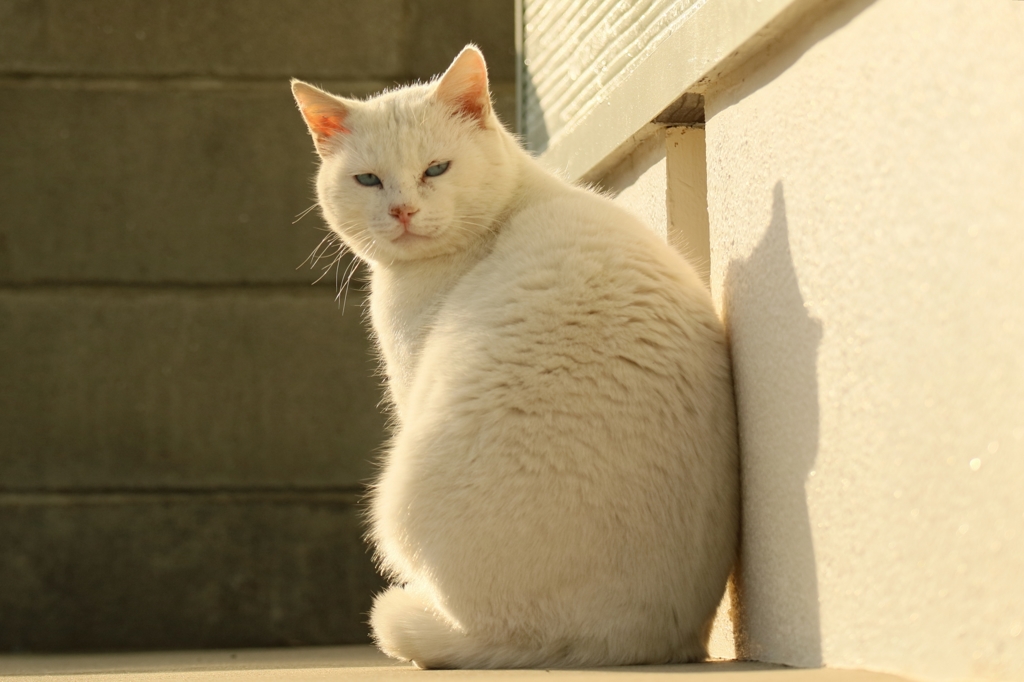 くるっ
