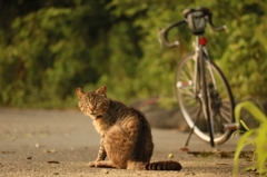 振り向く眼力先生