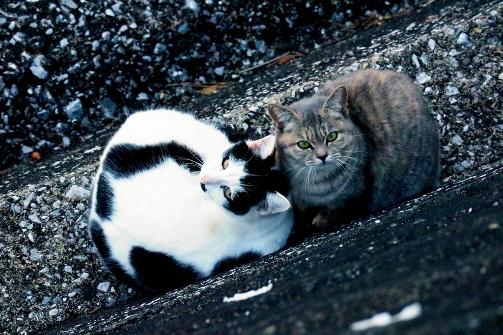 ちょっと違うか