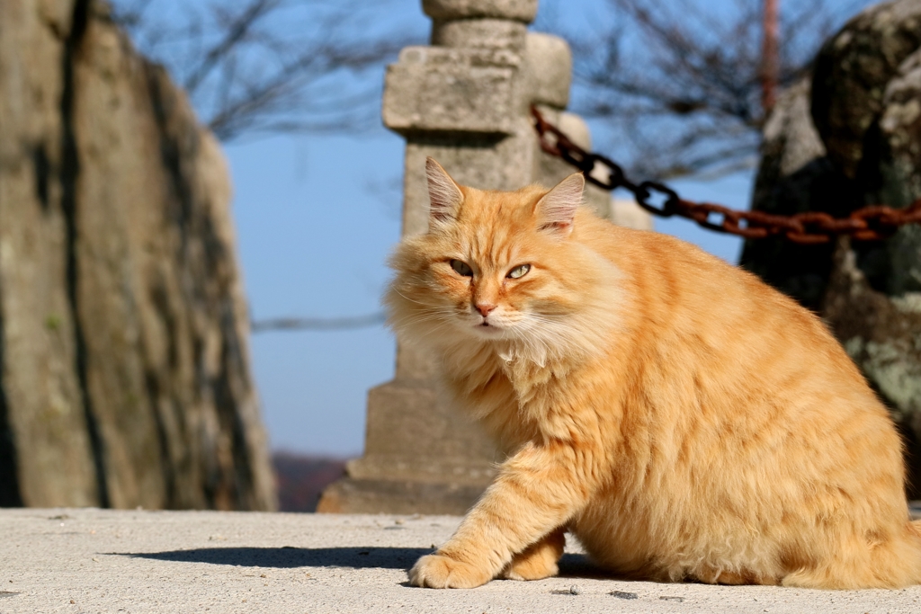 着太りするタイプちゃん