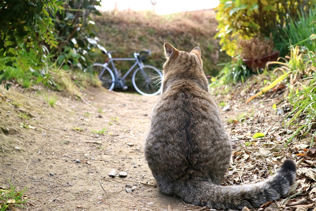 ぽたお