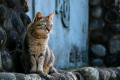 、