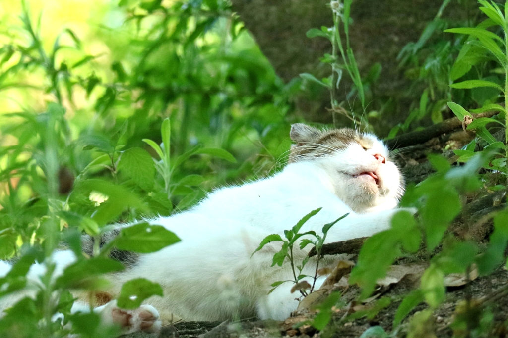 油断しすぎちゃん