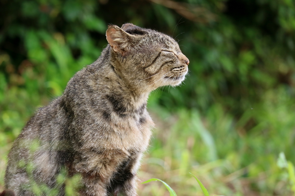 エアロダイナミクス先生