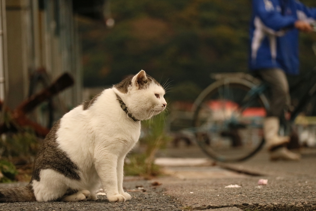 オンユアマーク先生