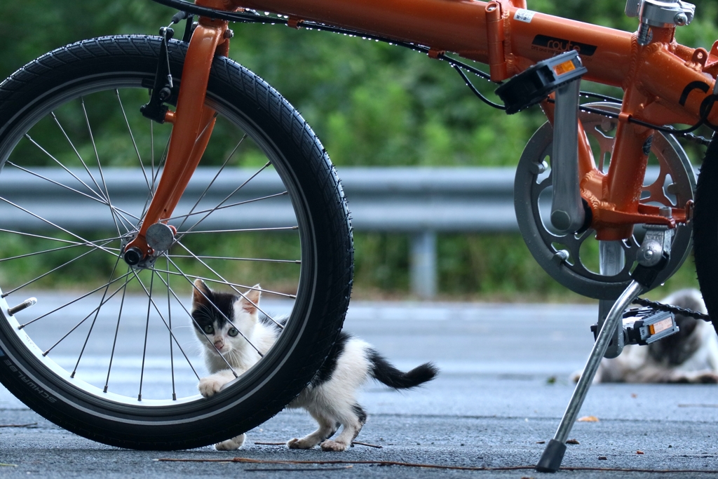 メカニックちゃん