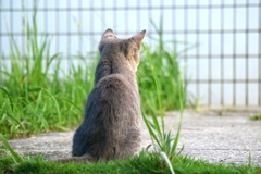 アイドリングちゃん