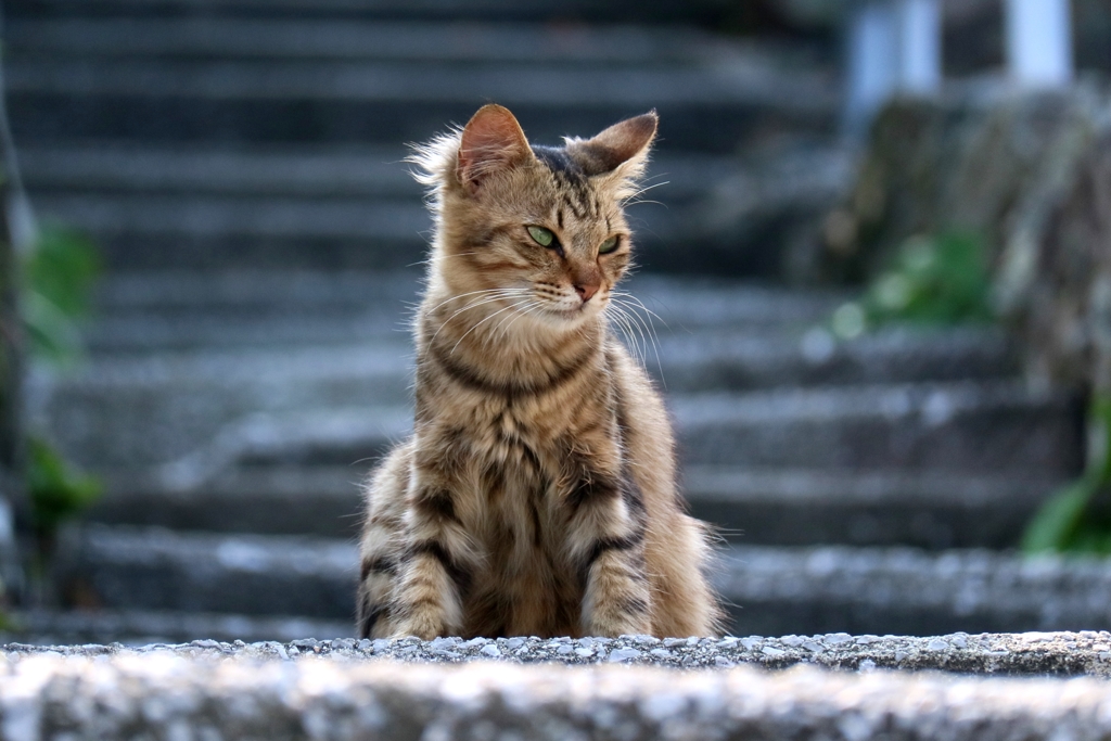 風に吹かれてびゅう
