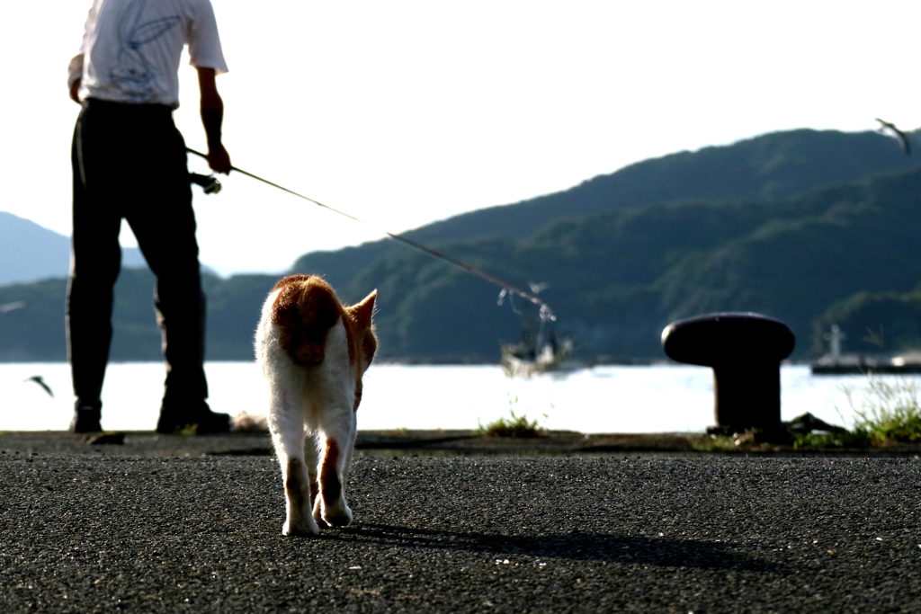 ハンターちゃん