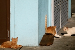 果報は寝てまつ