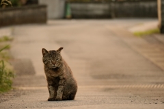 まんねりな構図。だって好きなんだもの