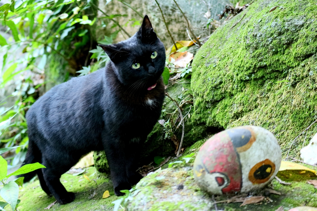 オブジェクト