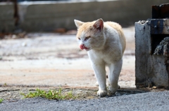 何か企んでいる