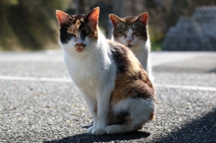 おわかりいただけただろうか