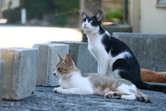 ディフェンダー先生