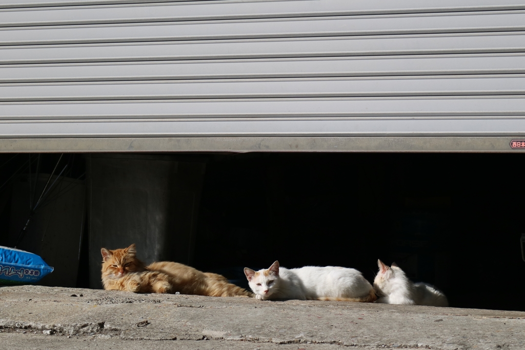 上屋スリーパーズ