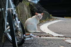 振り向けば鉄輪