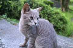 至近距離。でもさわらせてくれない