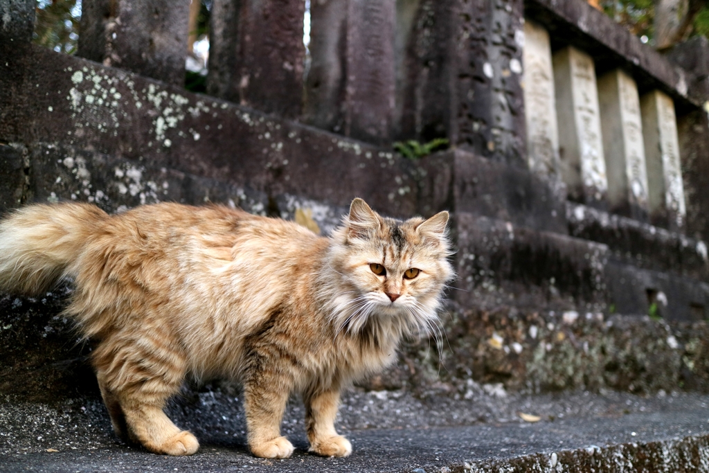 タイトルつけるのめんどくなったちゃん