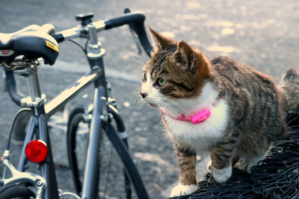 暖を取りたいちゃん