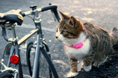 暖を取りたいちゃん