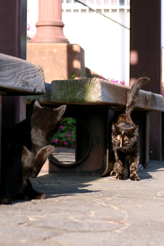 コールドウォー