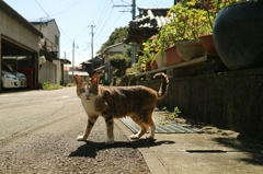 エンカウント