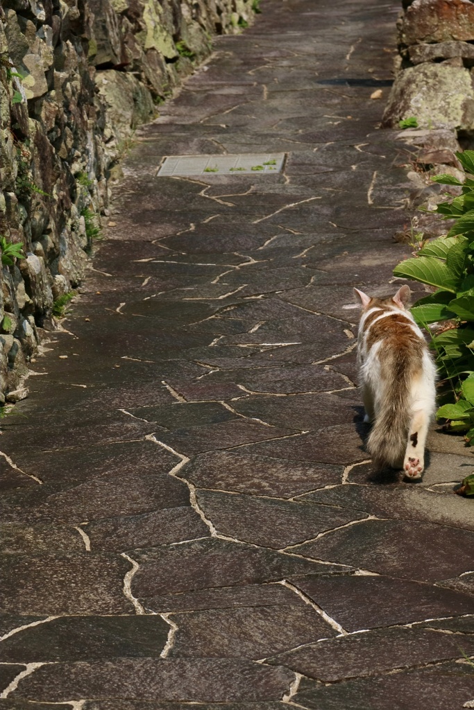 ストーカー先生