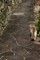 ストーカー先生